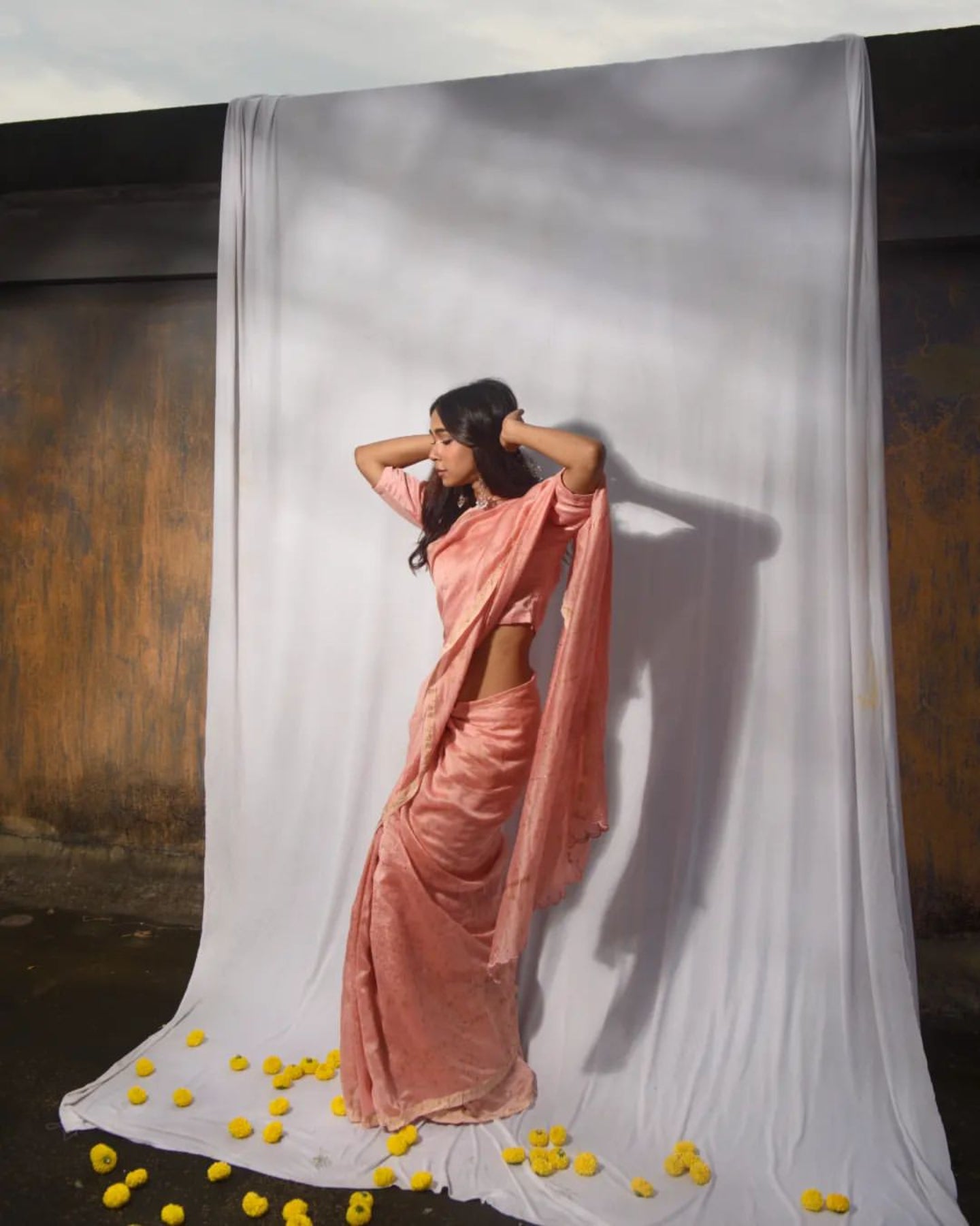 REGAL PINK PURE CHANDERI SILK SAREE